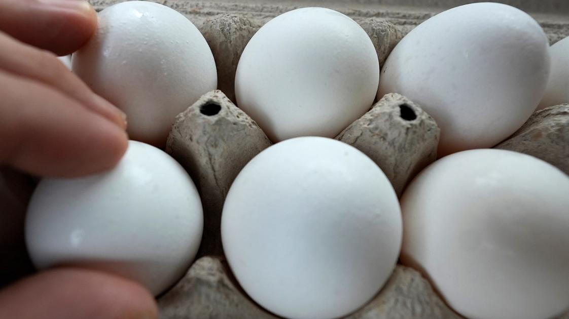 Federal agencies link Texas egg recall to 98 salmonella cases