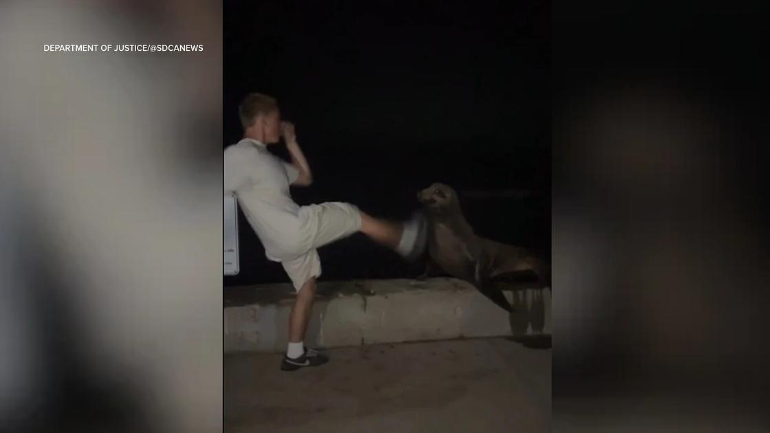 San Diego Teen Pleads Guilty to Federal Wildlife Violation