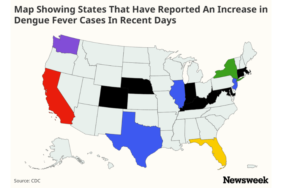CDC reports surge in dengue cases across 15 states, Florida hardest hit