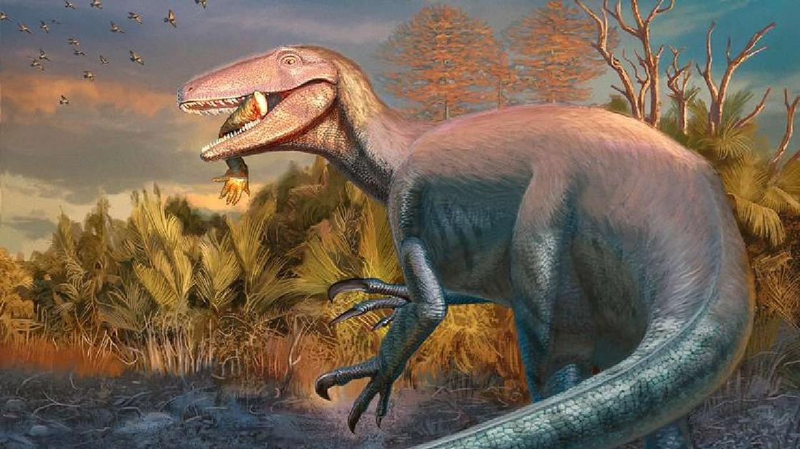 Newly Discovered Dinosaur Species in Argentina Sheds Light on Megaraptorans