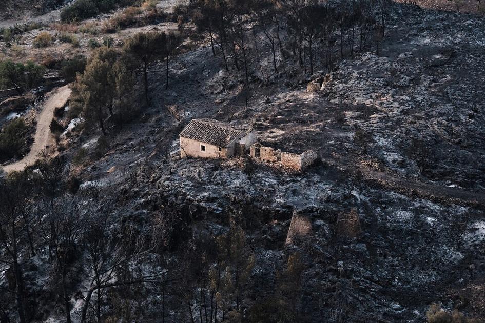 Wildfire in Almería Province Kills 12, Burns 66 sq km
