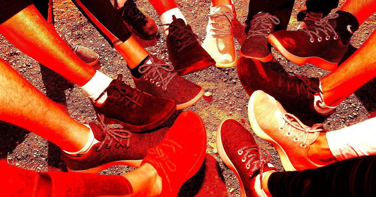 Allbirds Rebrands as NewBird AI, Shifts to AI Infrastructure