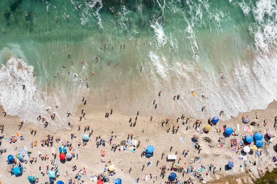 CDC reports Vibrio vulnificus found in Long Island waters