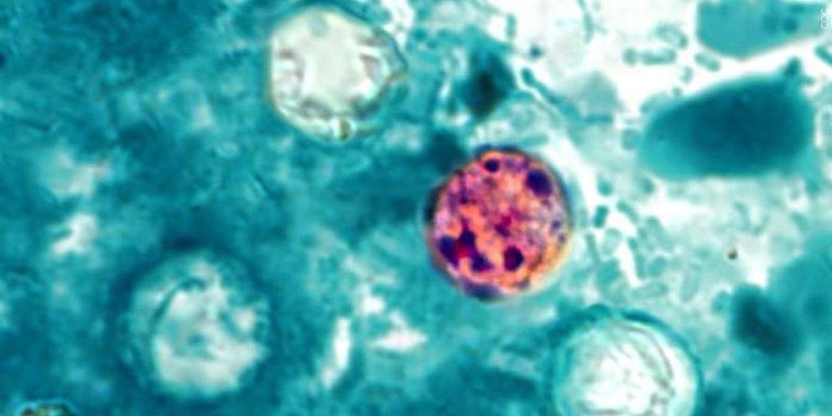 Maine CDC confirms ten lettuce-linked cyclosporiasis cases amid national outbreak