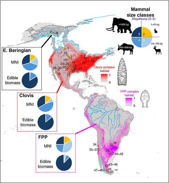 Study Shows Early Americans Depended on Megafauna for Most Calories